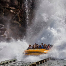 Australian Billionaire Real Jurassic Park