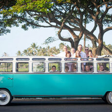 Volkswagen Stretch Microbus