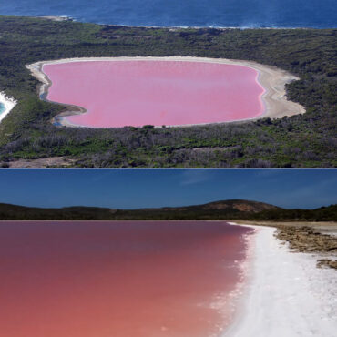Pink Pollution Drone Captures Amazing Footage of a Lake That Turned Bright Pink in ...