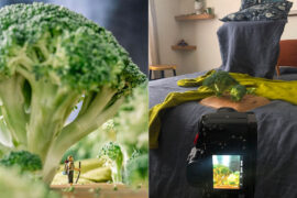 Photographer Transforms Normal Objects Into Miniature Nature Photos ...