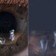 NeRF AI Neural Network Reconstruct 3D Images Eye Reflections