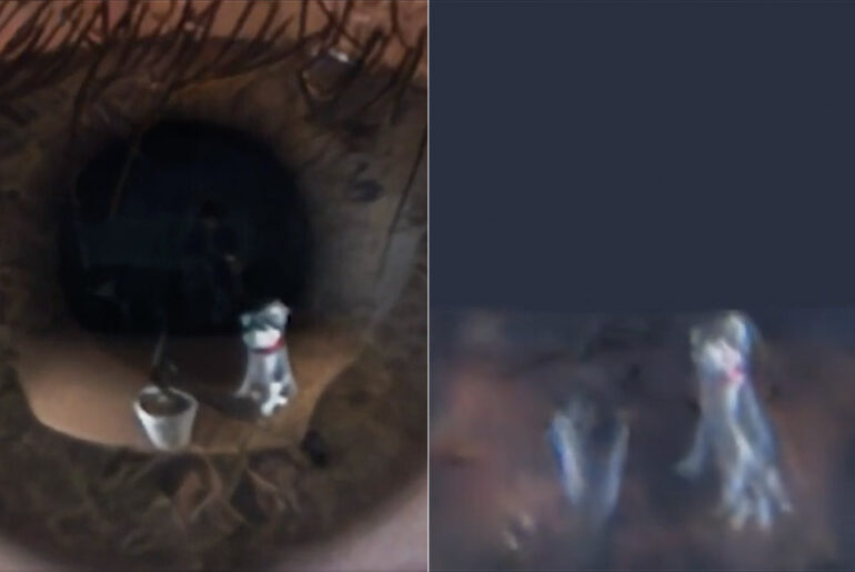 NeRF AI Neural Network Reconstruct 3D Images Eye Reflections