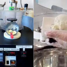 Michael Wagner Patent Instant Ice Cream