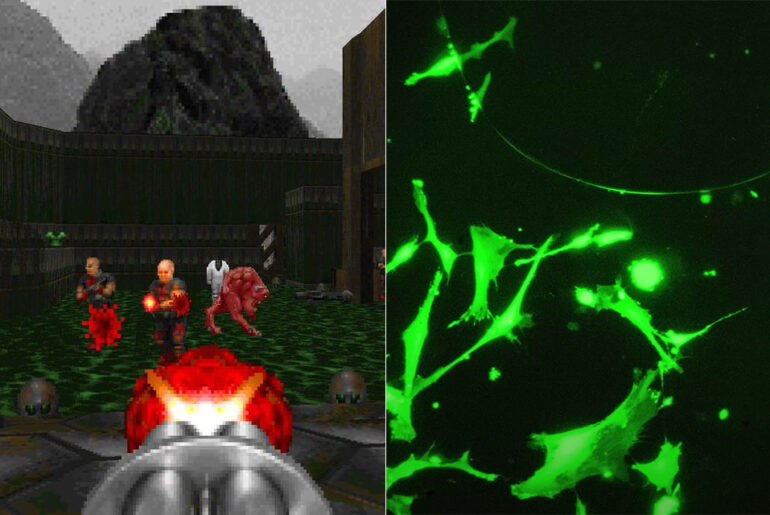The Thought Emporium Rat Neurons Play DOOM