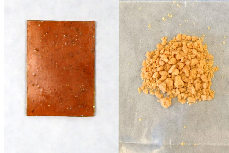 Bacteria Infinitely Recyclable Plastics