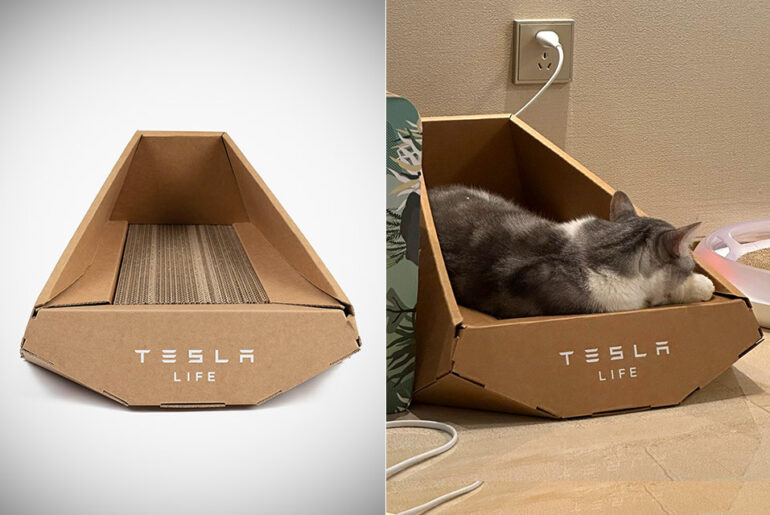 Tesla Life Cat Nest Litter Box Cybertruck