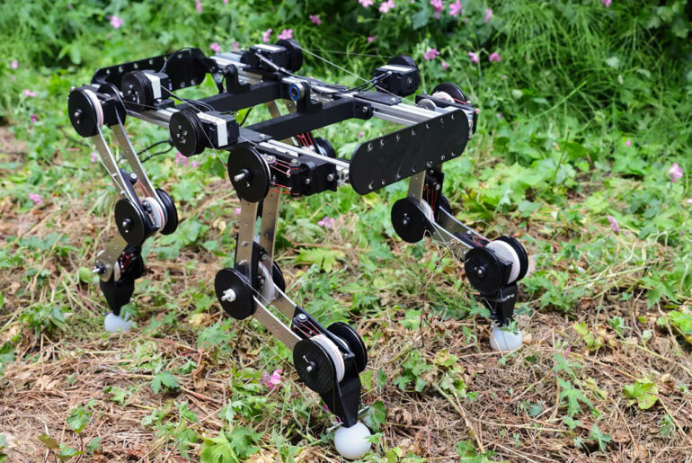 Bio-Inspired Robot Dog