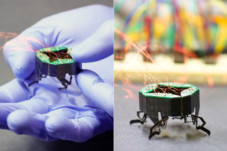 CU Boulder CLARI Shape-Shifting Robot