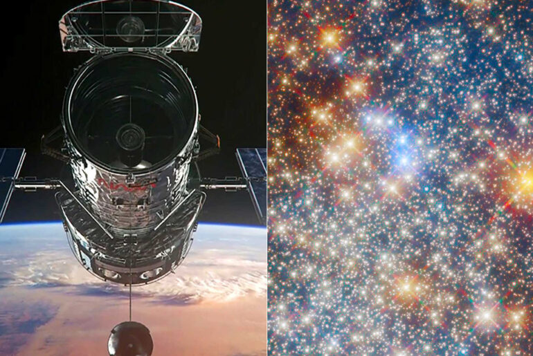 Hubble Space Telescope Globular Cluster Terzan 12