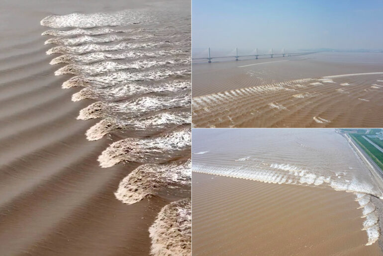 Fish Scale Tide China Qiantang River