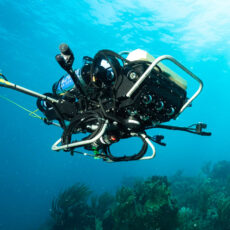 NVIDIA Jetson CUREE Robot Reefs Sea Creatures
