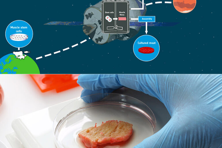 ESA Cultivated Meat Food Astronauts Space