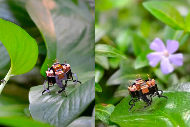 mCLARI Morphing Shape-Shifting Robot