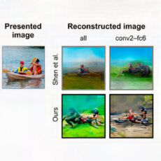 AI Reconstruct Images Human Brain Waves
