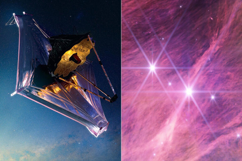 James Webb Space Telescope Free-Floating Brown Dwarf Star Cluster IC438