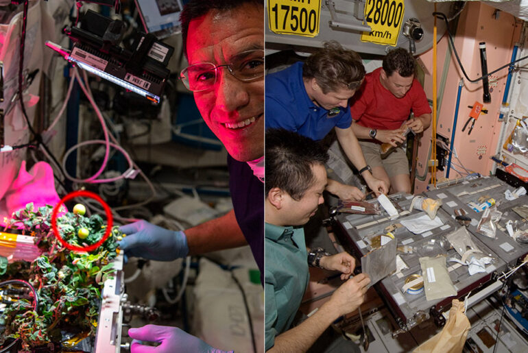 Two Tomatoes ISS Missing NASA