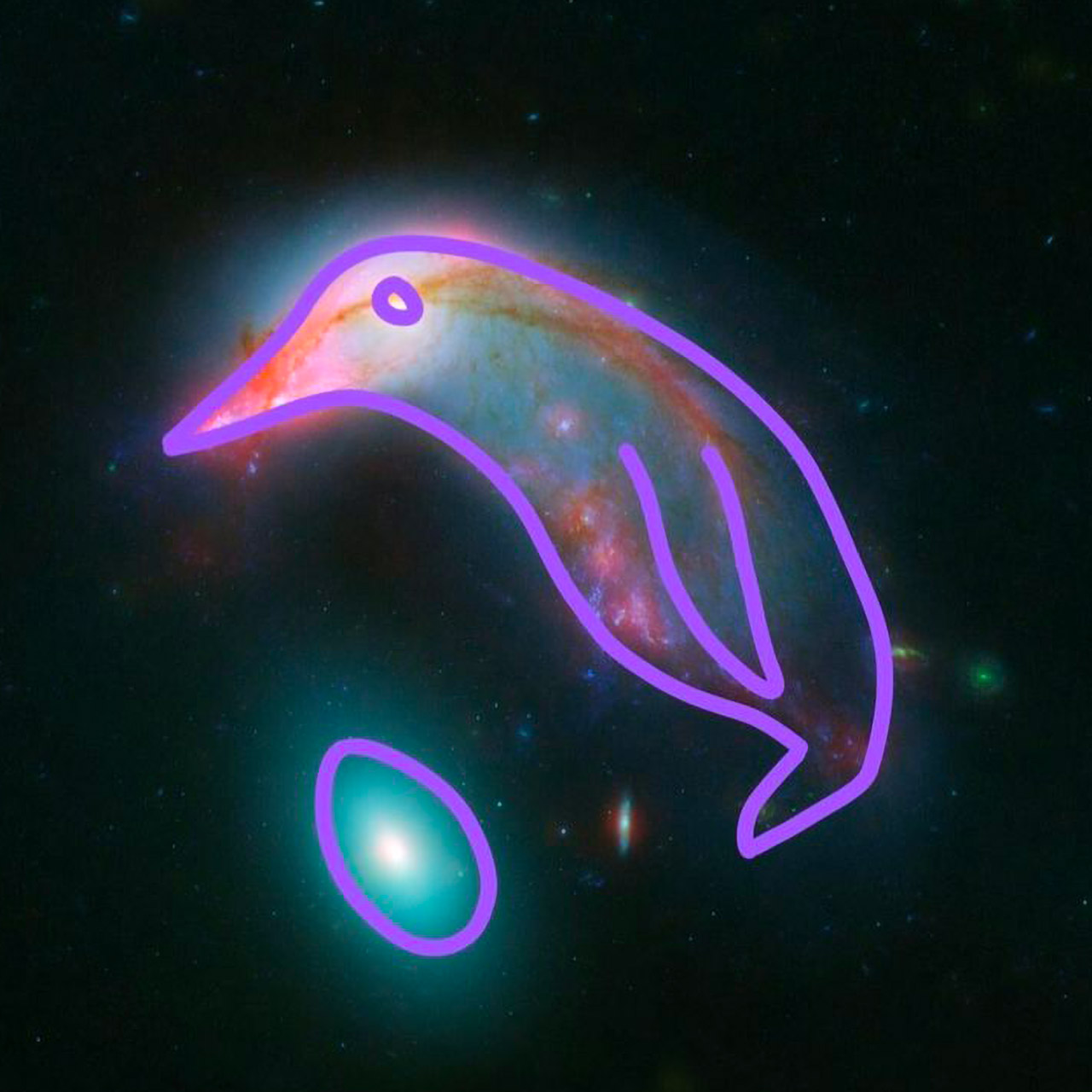 NASA Hubble Spitzer Penguin Galaxy