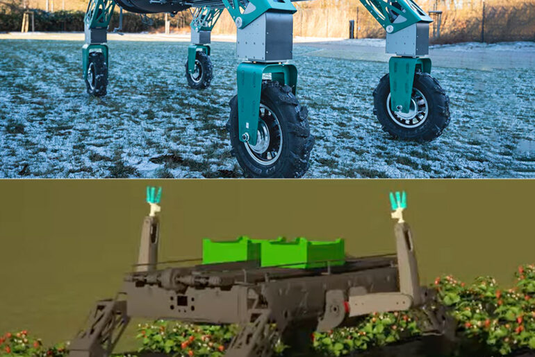 RoLand Strawberry Picking Robot Harvesting Fruit