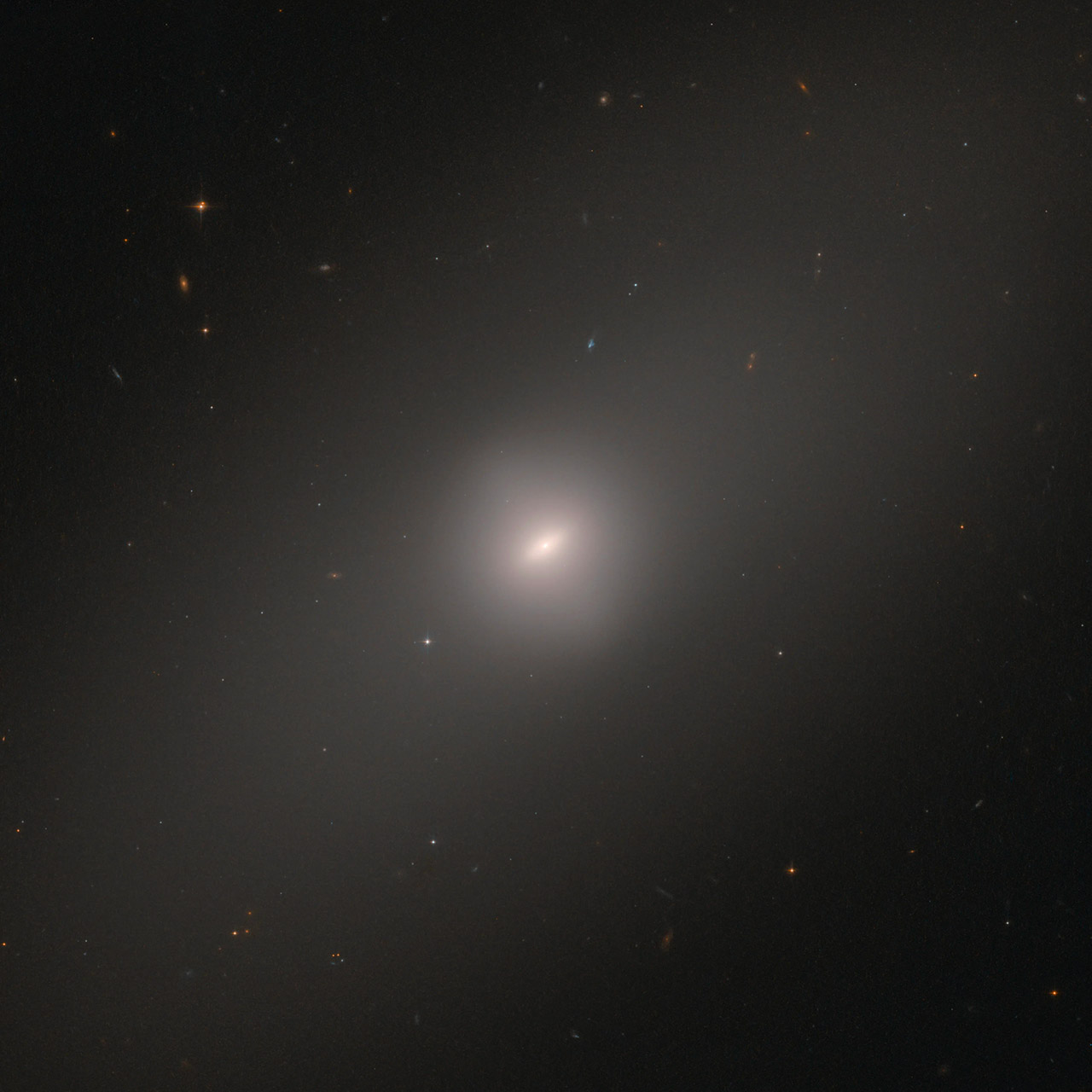 Hubble Elliptical Galaxy NGC 3384