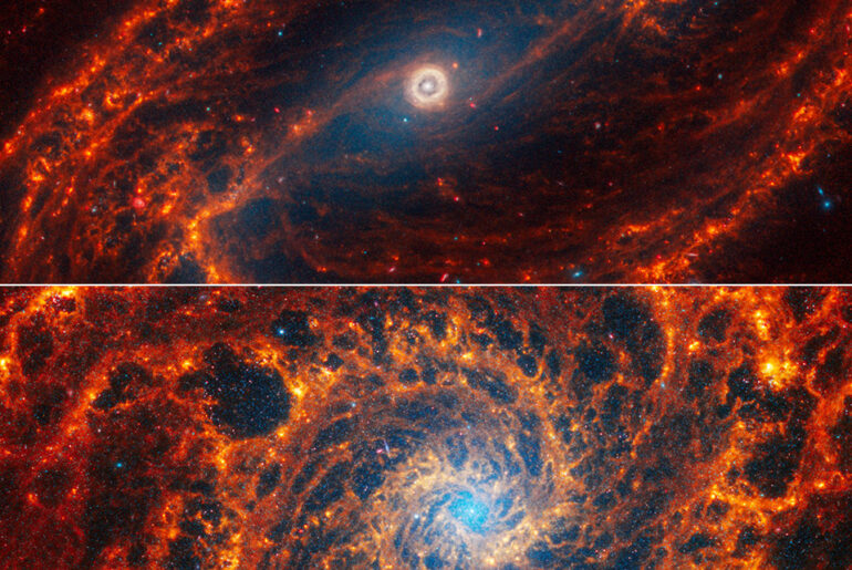 James Webb Spiral Galaxies