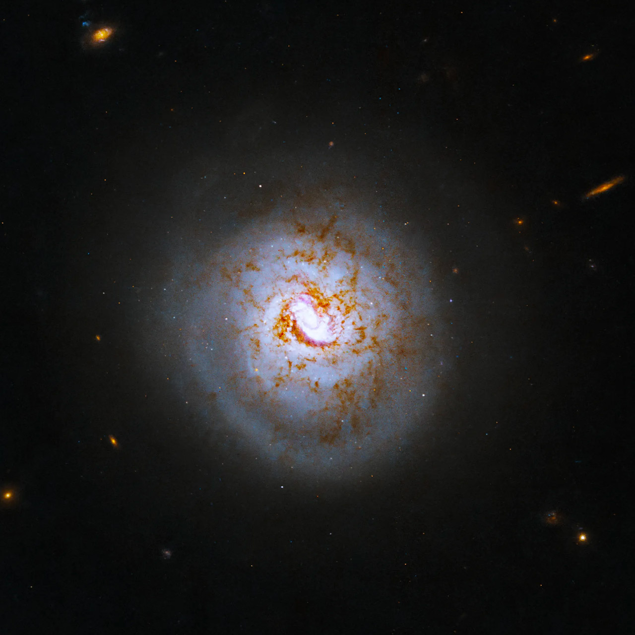 Hubble Baseball Spiral Galaxy ESO 420-G013