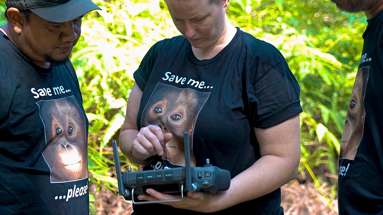 DJI Drones Save Orangutans