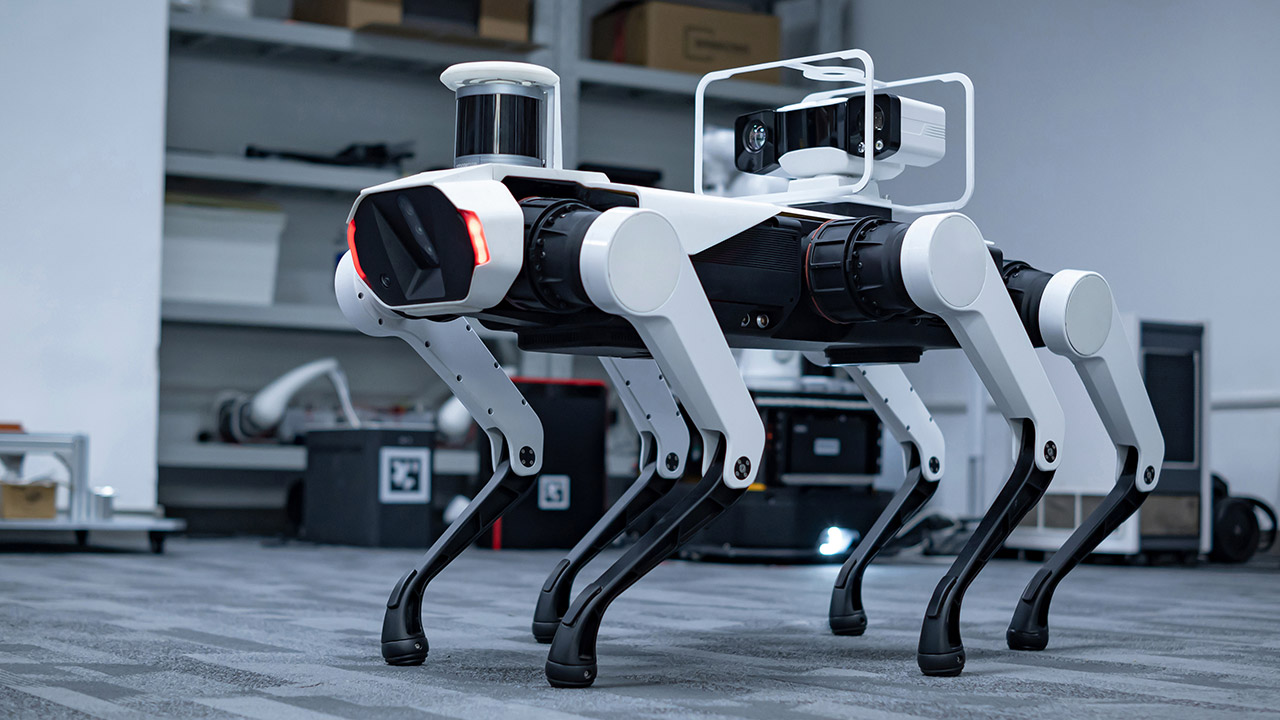 Lenovo Daystar Bot GS Robot Dog