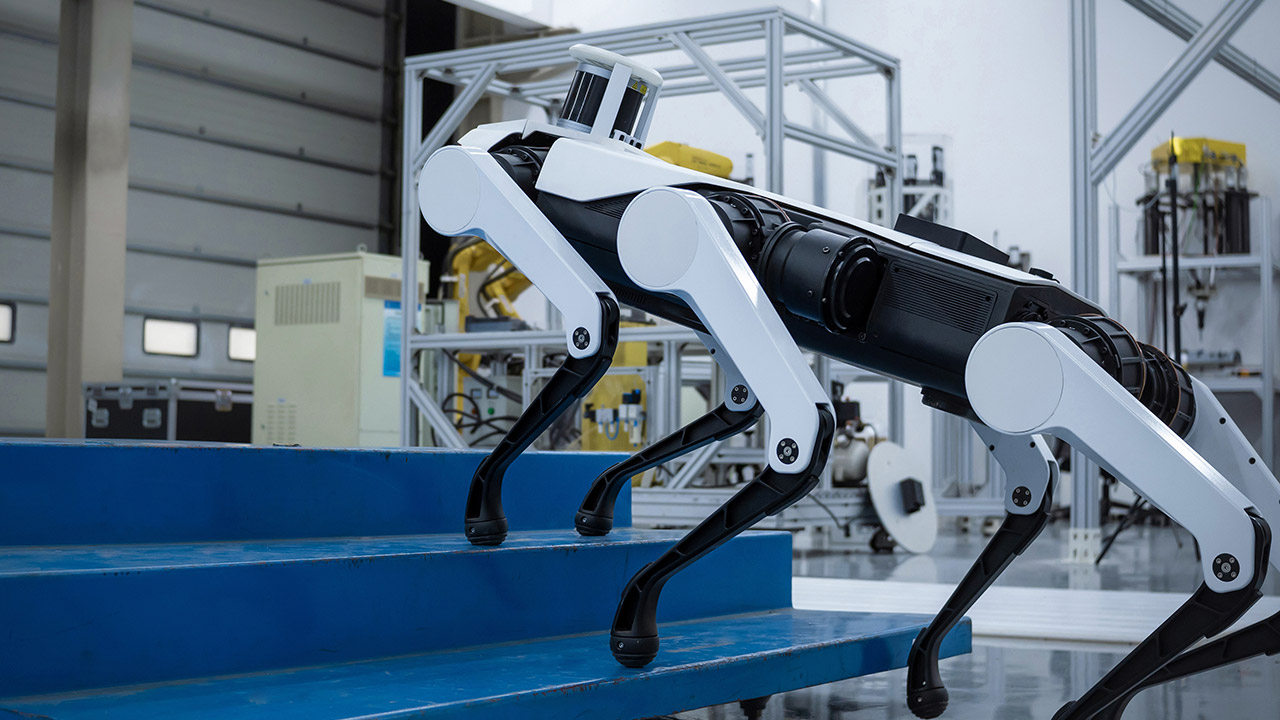 Lenovo Daystar Bot GS Robot Dog