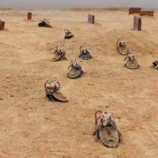 Computer-Controlled Cyborg Cockroaches