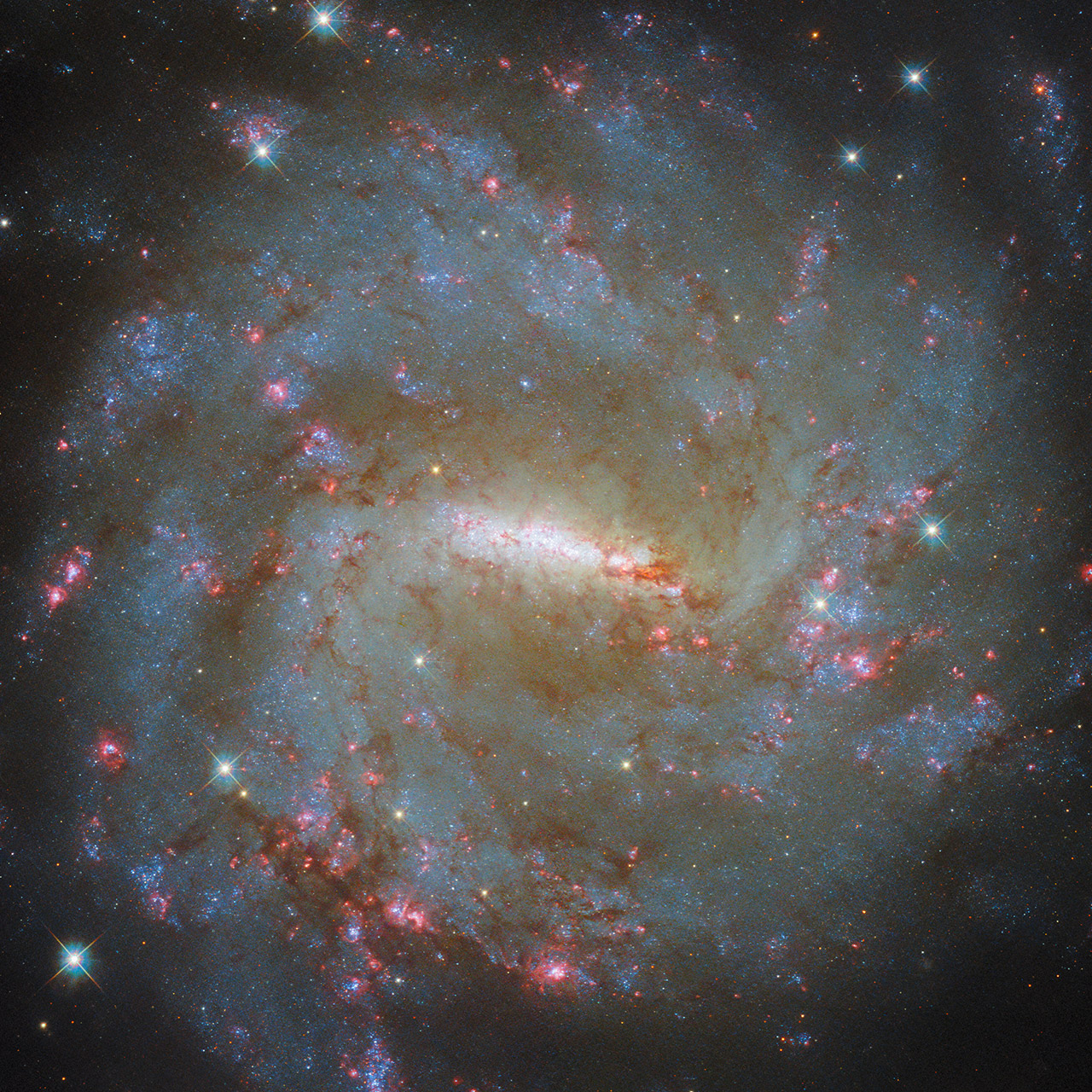 Hubble Barred Spiral Galaxy NGC 3059