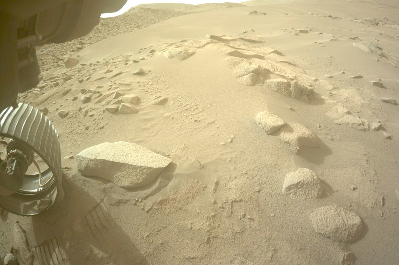 NASA Perseverance Mars Rover Pet Rock Dwayne