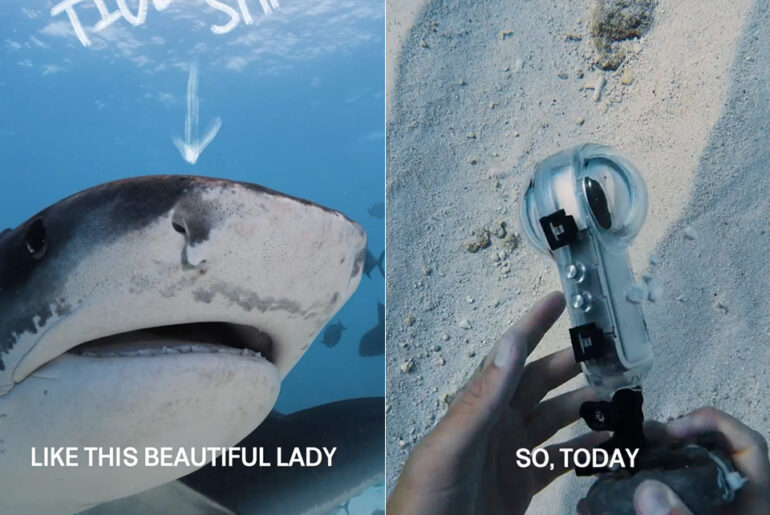 Insta360 X4 Action Camera Shark Proof Test