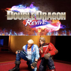 Double Dragon Revive