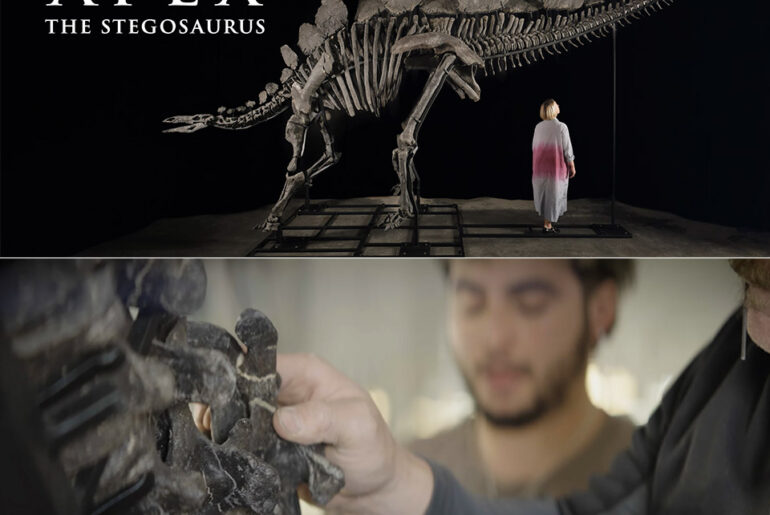 Ken Griffin Stegosaurus Fossil Apex Sotheby's Auction