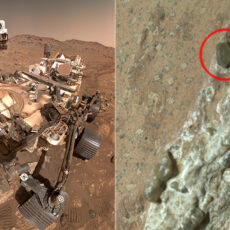 NASA Perseverance Rover Mars Rock Life