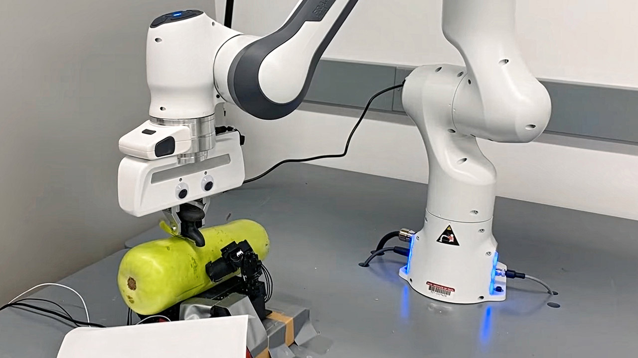 Robot Peel Squash Human