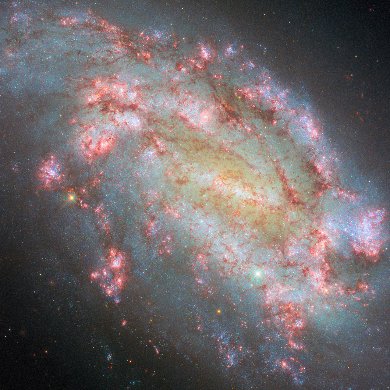 Hubble Barred Spiral Galaxy NGC 1559