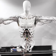 Robotic Torso Artificial Muscles