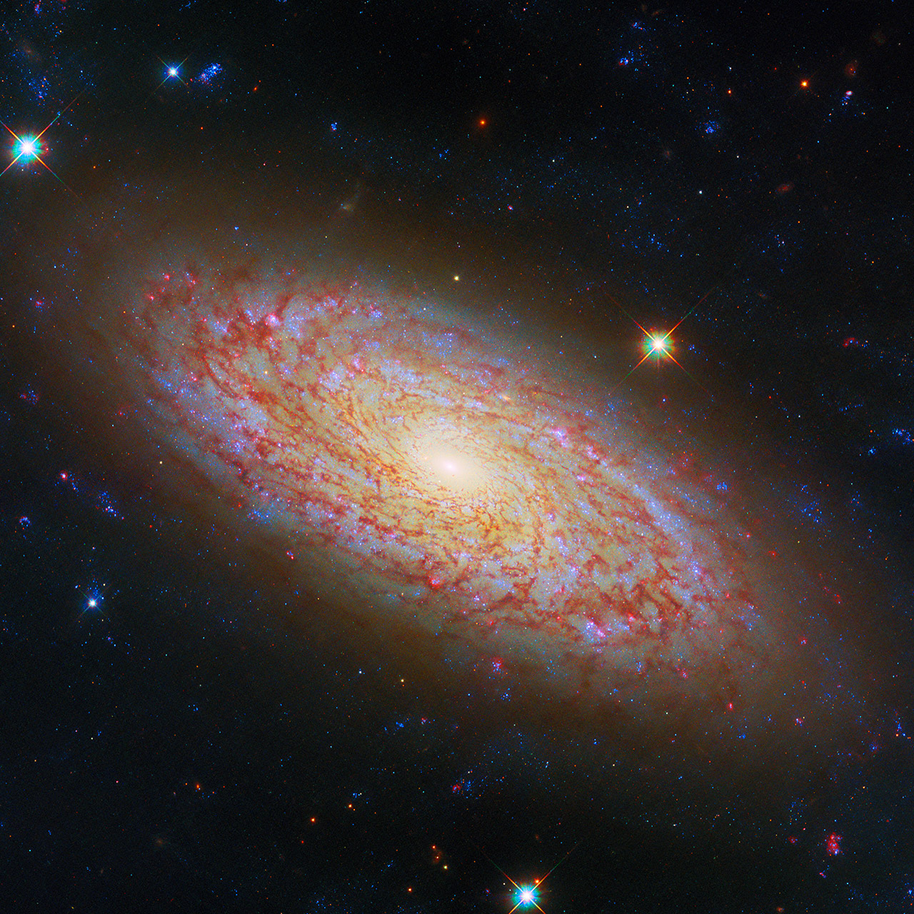 Hubble NGC 2090 Spiral Galaxy
