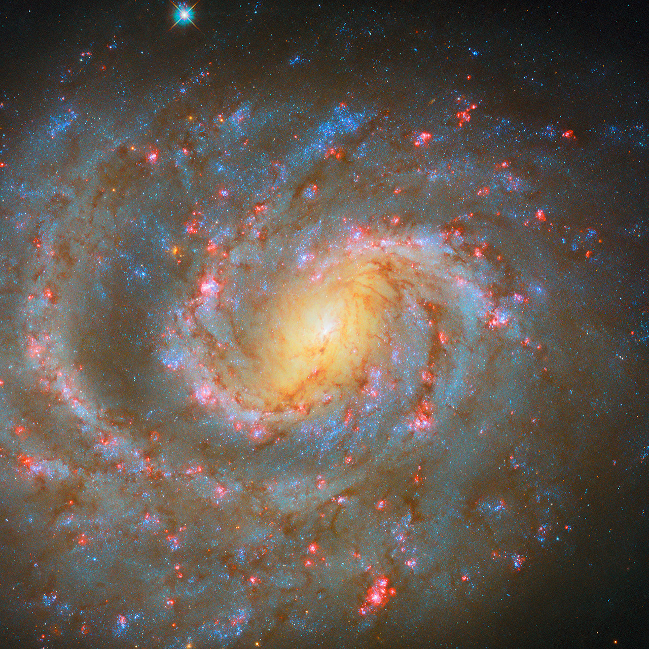Hubble NGC 1637 Spiral Galaxy
