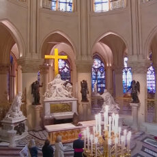 Inside Restored Notre Dame Cathedral Paris
