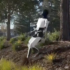 Tesla Optimus Humanoid Robot Walk Uneven Terrain