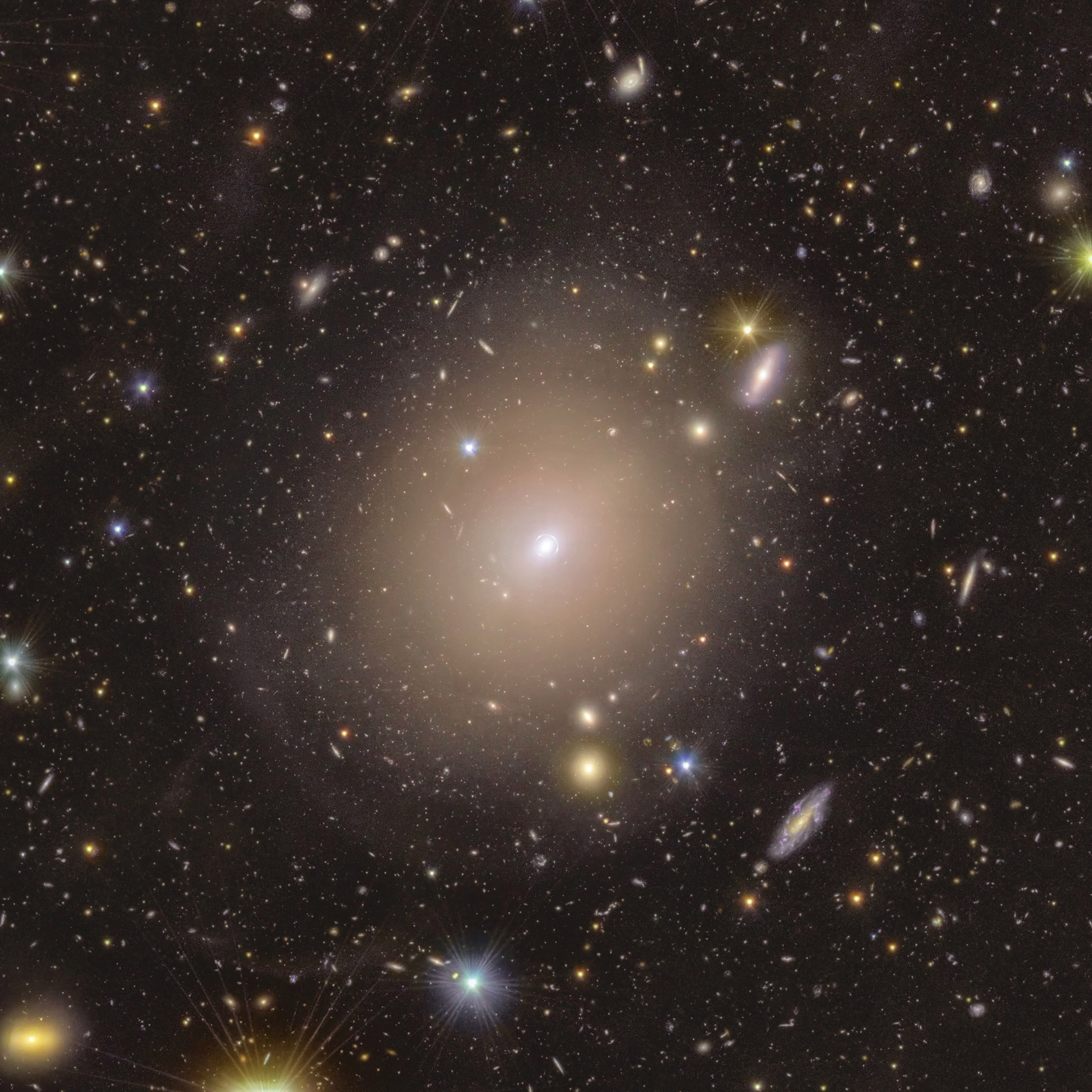 ESA Euclid Telescope Einstein Ring NGC 6505
