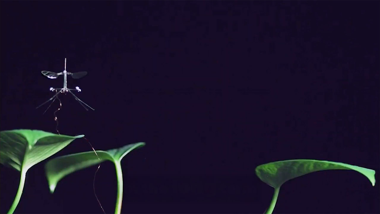 Harvard RoboBee Micro Robot Crane Fly Legs