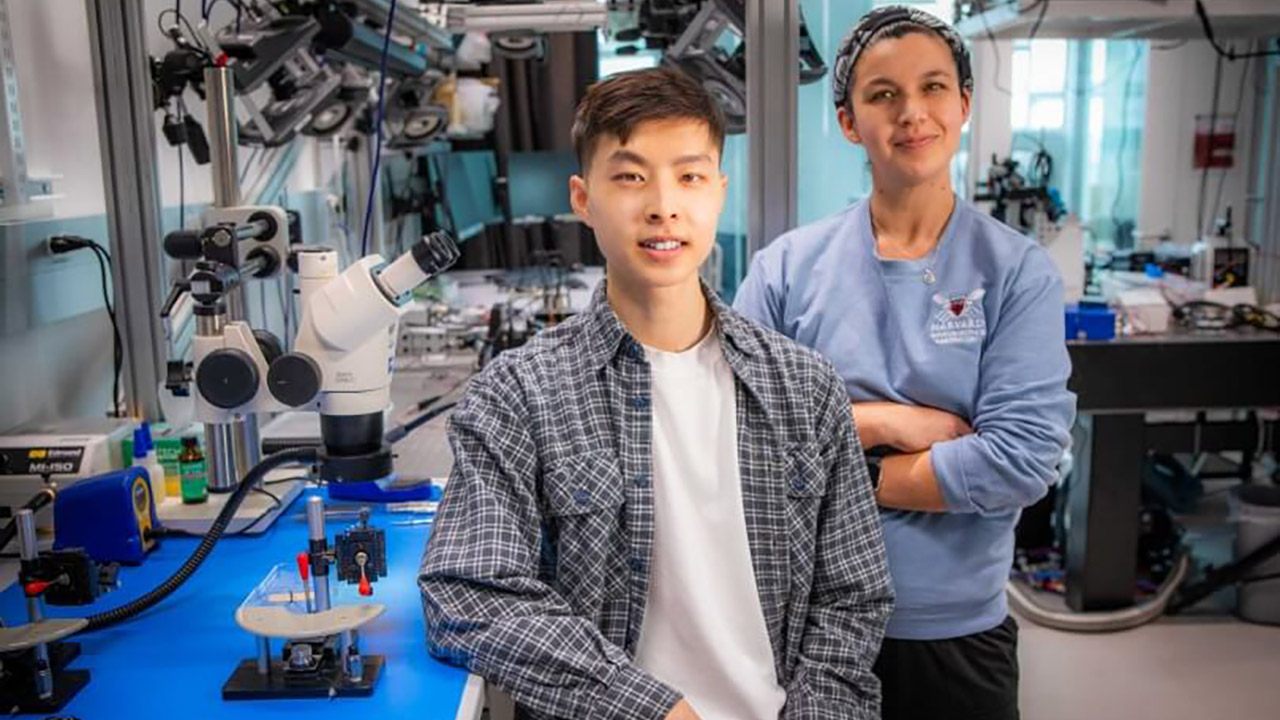 Harvard RoboBee Micro-Robot Crane Fly Legs