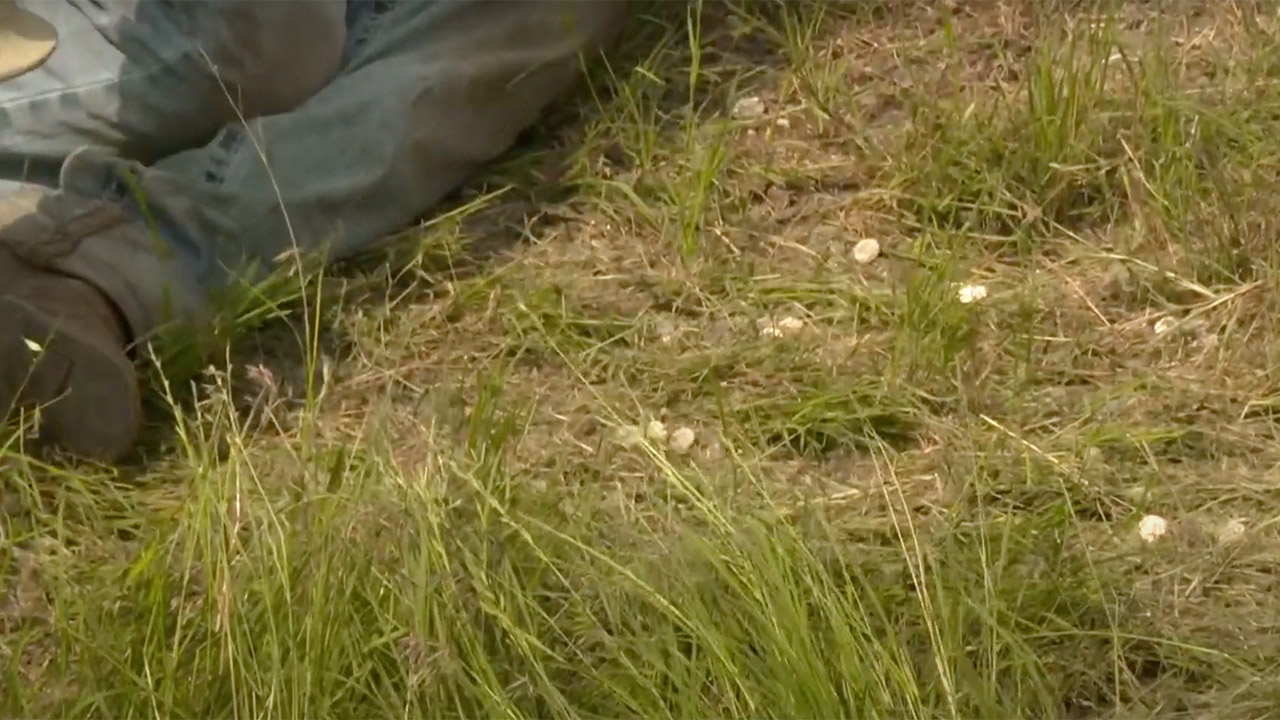 Truck Haul 800K Dimes Accident Texas