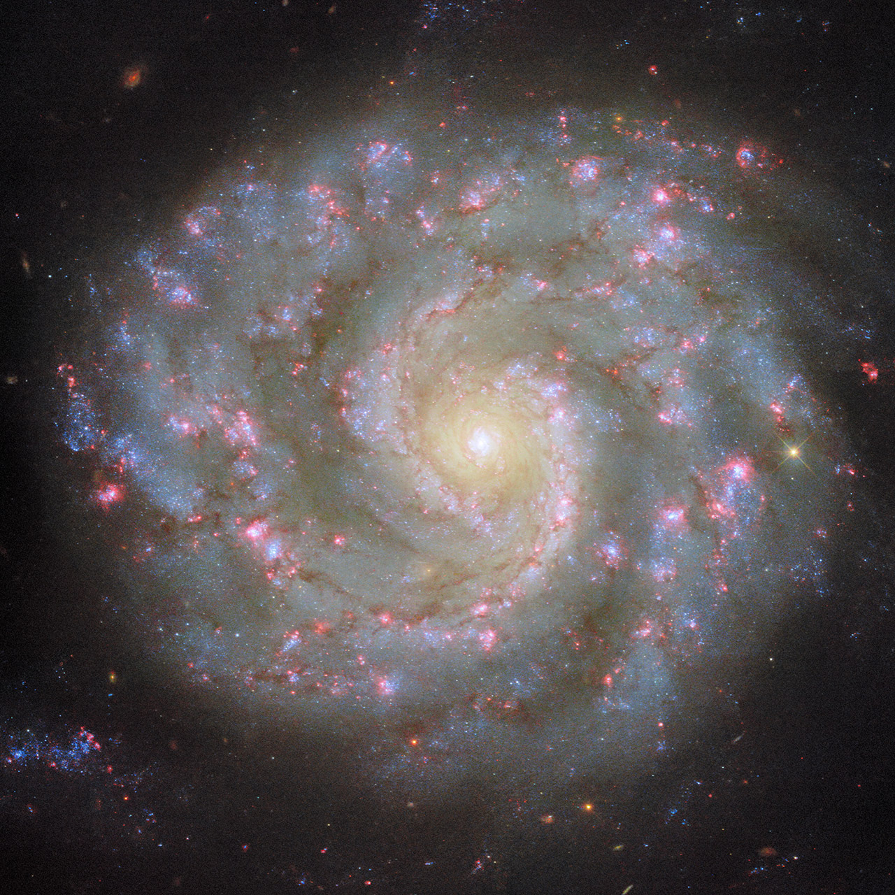Hubble Face-On Spiral Galaxy NGC 3596