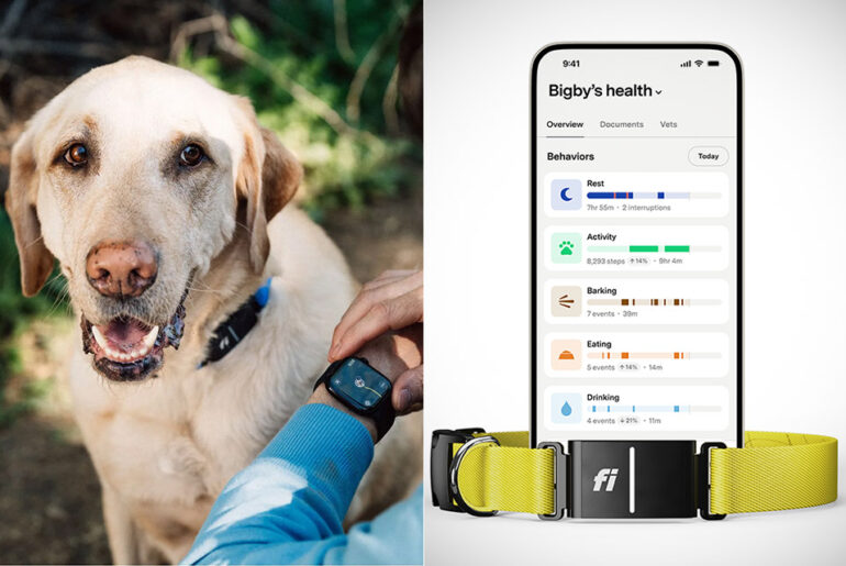 Fi Series 3+ AI GPS Smart Collar