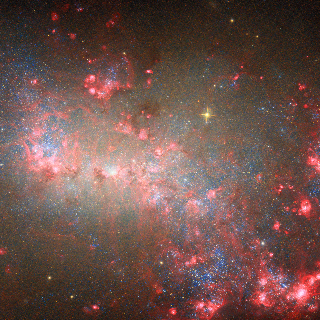 Hubble NGC 4449 Dwarf Galaxy Cosmic Firestorm