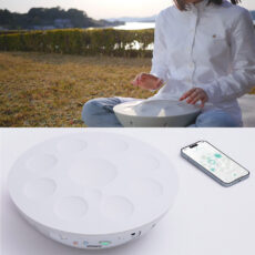 Roland Mood Pan ASMR Gadget